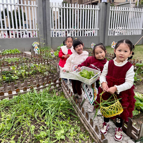 🍃小小农夫有点“田”——宁国市第二幼儿园凤形分园 小四班