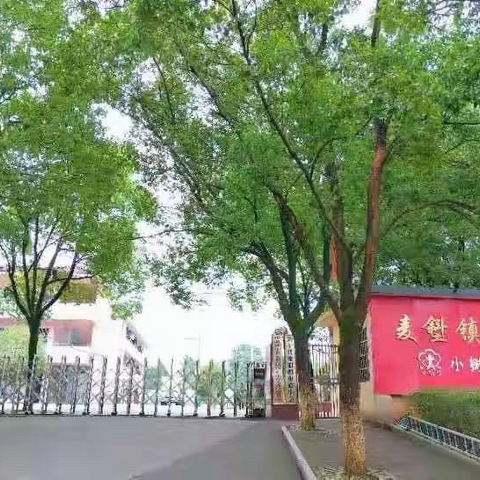 快乐暑假，安全一“夏” ——麦斜镇中心小学暑假放假通知