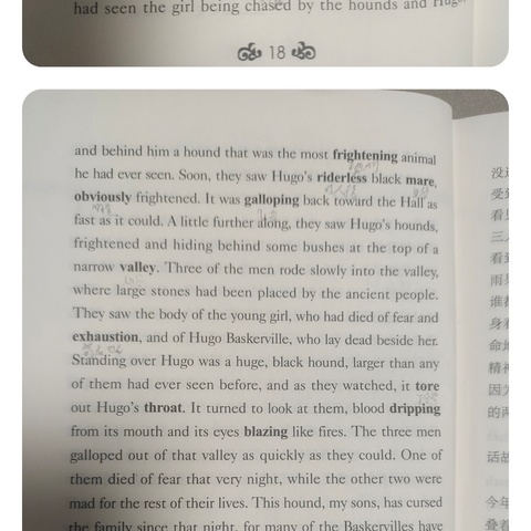 霞你一小跳的简篇