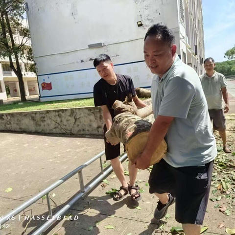 齐心协力，全力以赴——澄迈县中兴初级中学台风“摩羯”过后抢险救灾纪实