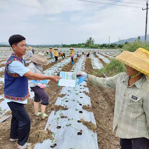 英州镇开展“禁种铲毒”踏查暨禁毒宣传活动（十）