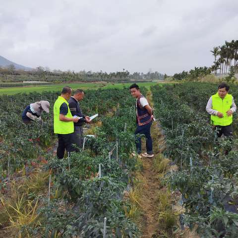 英州镇持续开展“禁种铲毒”踏查暨禁毒宣传活动（二）