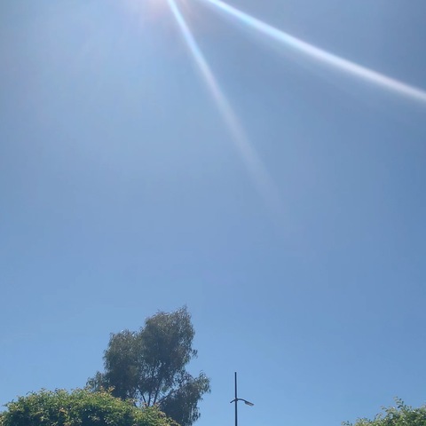 绿豆成长记（永外实小四3班黄锦浩）