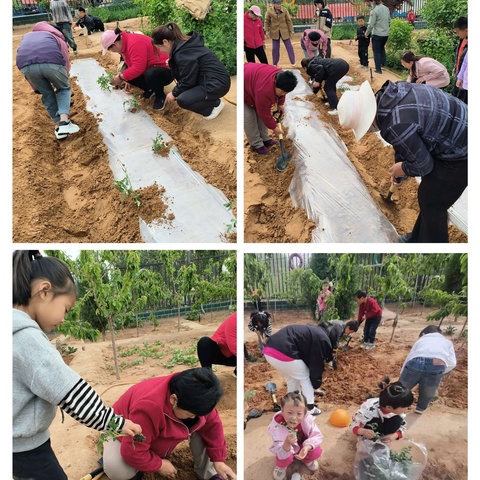 《我劳动，我光荣》—中宁县太阳梁乡第一幼儿园家长半日开放活动纪实