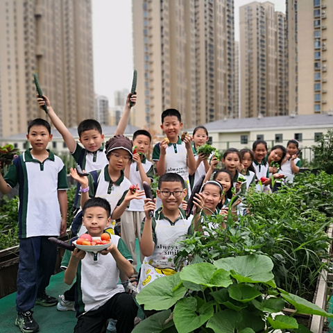 劳动至美，乐享丰收——长丰县阿奎利亚学校劳动实践基地第三届采摘节