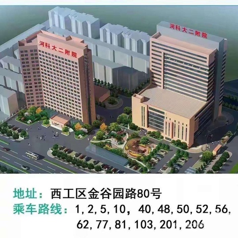 拍背，你真的学会了吗？