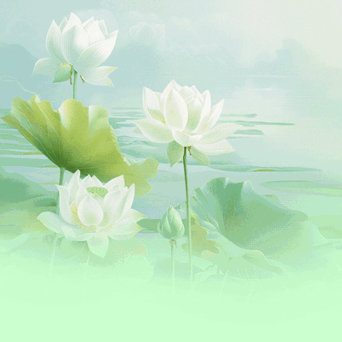 幼儿园一日常规培训内容