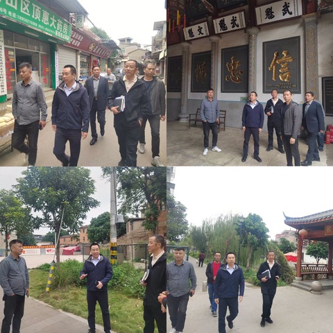 盖山镇党委于贤平书记、组织委员任继兴莅临中亭村检查指导工作