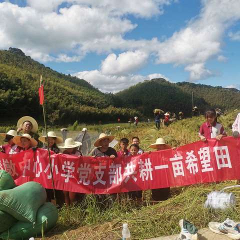 “庆丰收.迎国庆”洋墩中心小学党支部开展共耕一亩希望田研学活动