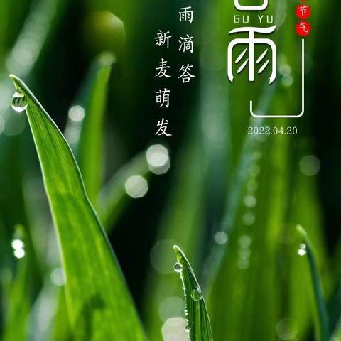 雨生百谷，时至暮春…———大二班“谷雨”节气