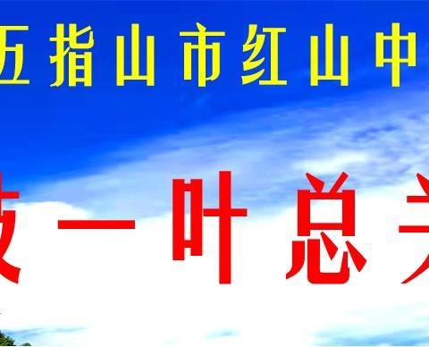 “述”说精彩，共同成长——五指山市红山中心学校综合组教师开展期末教学述评活动