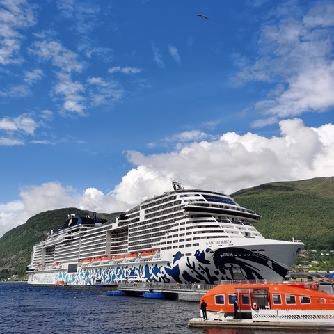 北欧四国+峡湾邮轮（MSC神女号邮轮） （芬兰 瑞典丹麦 挪威 德国） （2024.7.10—7.23）