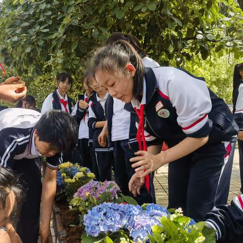 蒙自二中 2302班 植”下春光，“树”立理想劳动实践活动