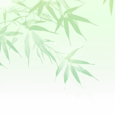 身边的张富清——麦岛路支行管文洁