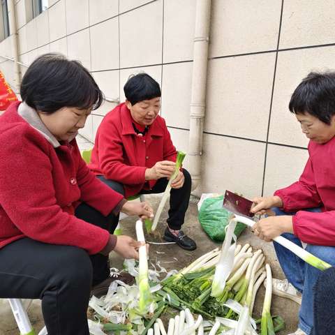 告成镇竹园村重阳节活动现场掠影