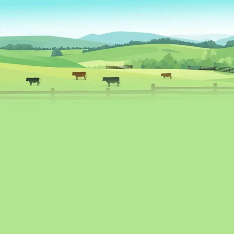 【建行辽宁】建行葫芦岛兴工支行开展“绿色低碳之翼，温暖劳动之行”为主题的宣传活动