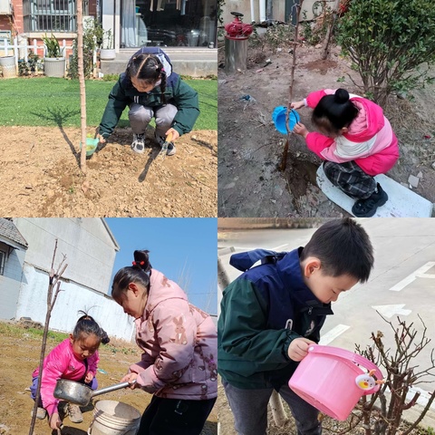 植此青绿，共赴植树节之约 ——歌风小学植树节文明实践活动