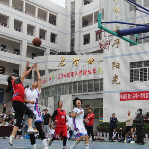 篮球健体魄 联赛展风采——樊城区第九届中小学生篮球联赛（小学组）圆满落幕