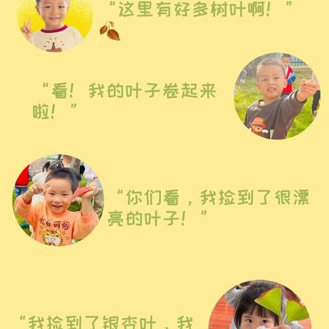 中二班班本课程——一起趣玩“叶”