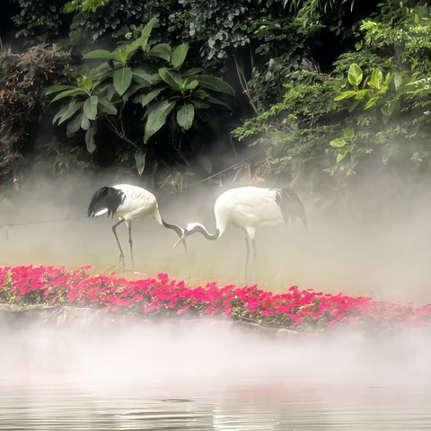 🌅行走的经典读书会·春季经典诵读（第十期）