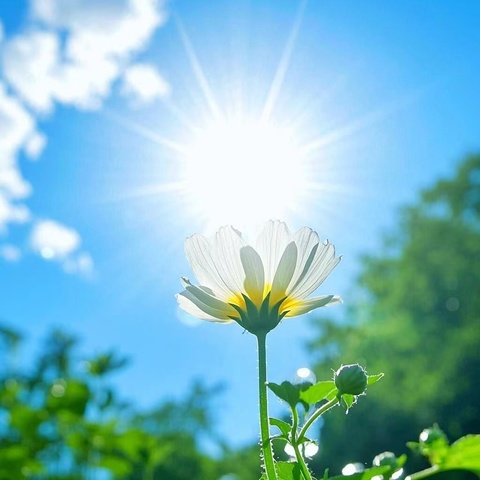 🌅行走的经典读书会·春季经典诵读（第十二期）