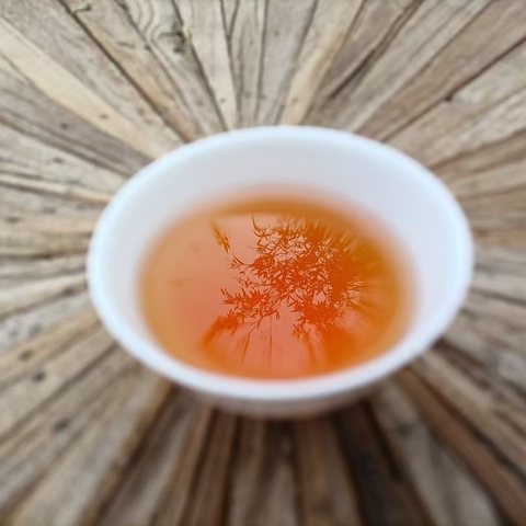 🌅行走的经典读书会·春季经典诵读（第十五期）