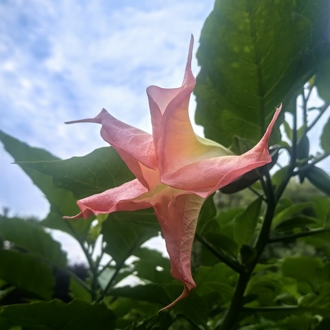 🌅行走的经典读书会·2025秋季经典诵读（第一期）