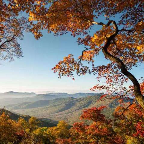 🌅行走的经典读书会·2025秋季经典诵读（第五期）