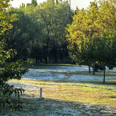 🌅行走的经典读书会·2025秋季经典诵读（第六期）