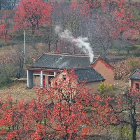 🌅行走的经典读书会·2025秋季经典诵读（第七期）