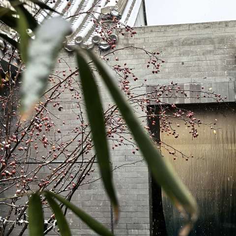 🌅行走的经典读书会·2025秋季经典诵读（第十期）