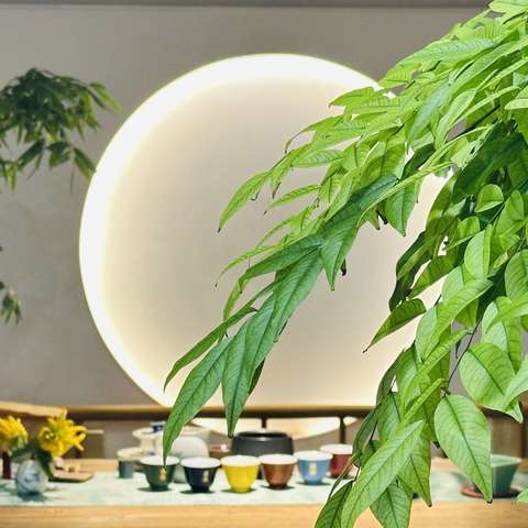 🌅行走的经典读书会·2025秋季经典诵读（第十一期）