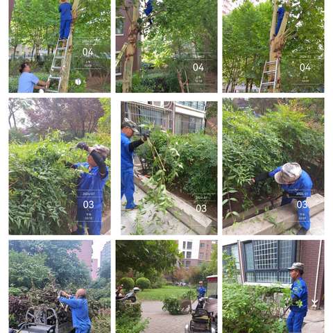 翰林苑小区——                                环卫部工作服务周报告