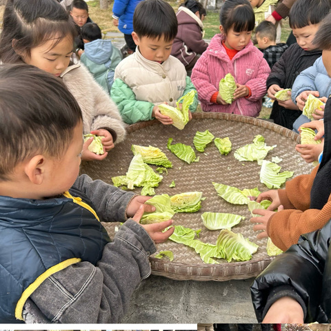 自制盐菜