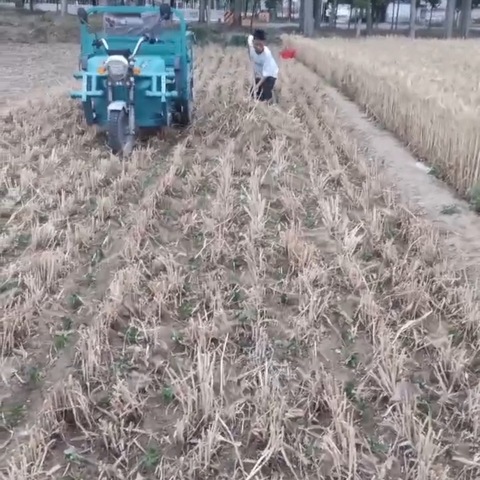 【濮阳县八公桥光明小学】三一班——我帮家人干农活