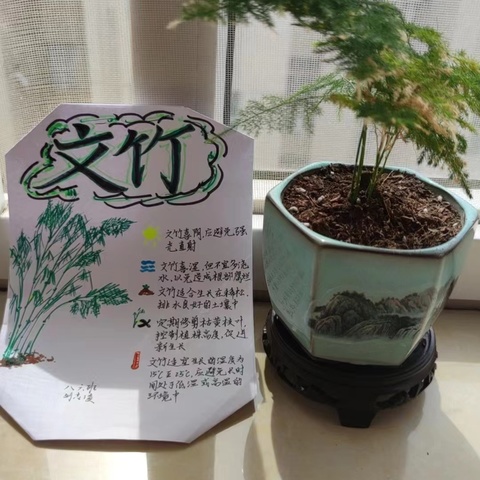 花草宣传卡