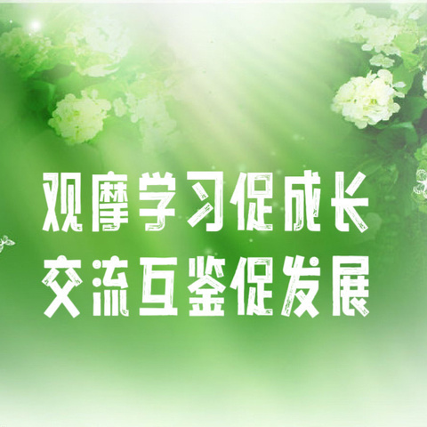 “放手游戏 静观童趣”——定安县幼教姐妹园到湾岭镇中心幼儿园进行交流学习