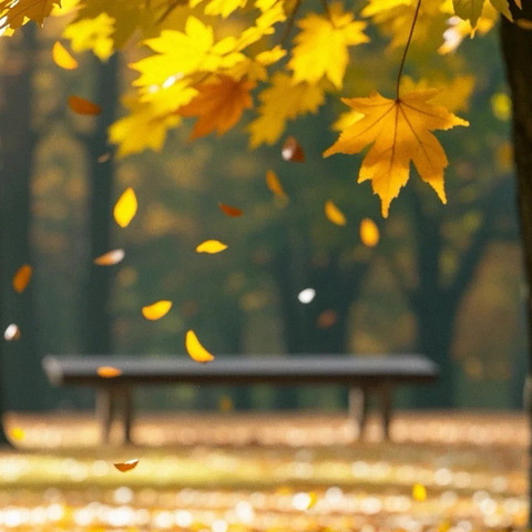 “秋天的浪漫” 西合营镇夏源完小 创意树叶画