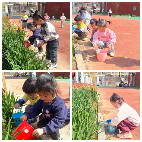 【全环境立德树人】伏城实验幼儿园小四班