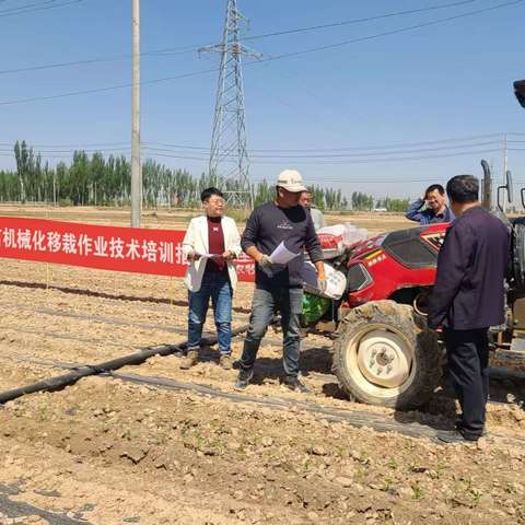 ---杭锦后旗农机服务中心 开展辣椒机械化移栽作业 技术培训和安全宣传教育活动