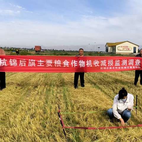 ---杭锦后旗农机服务中心扎实推进主要粮食作物（小麦）机收减损监测调查工作