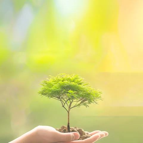 ---杭锦后旗农机服务中心举办2025年第二期农机驾驶人考试