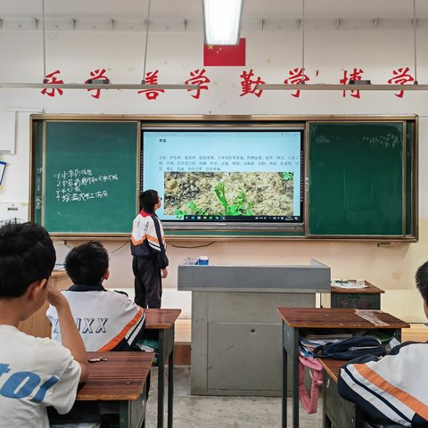 寻找身边的中草药——小小草药探索家（下南街小学六年级活动纪实）