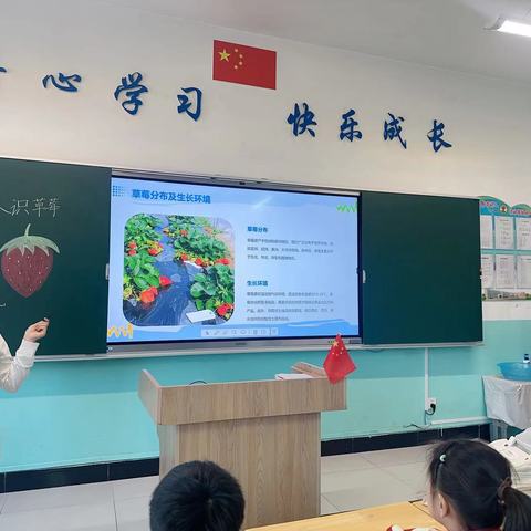 草莓🍓的多彩世界 甘南县实验小学四年级乡土课程纪实