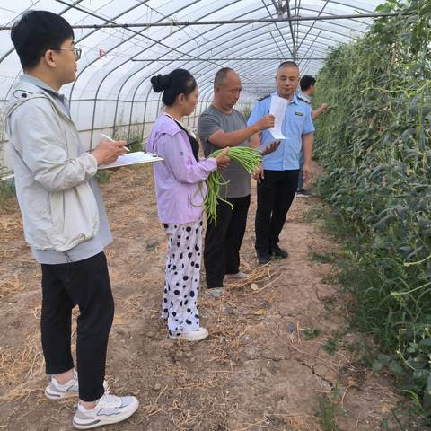 开展豇豆监督抽检  确保从农田到餐桌上的安全