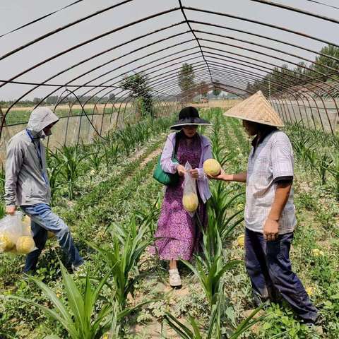 开展农产品质量安全抽检  守牢农产品质量安全底线