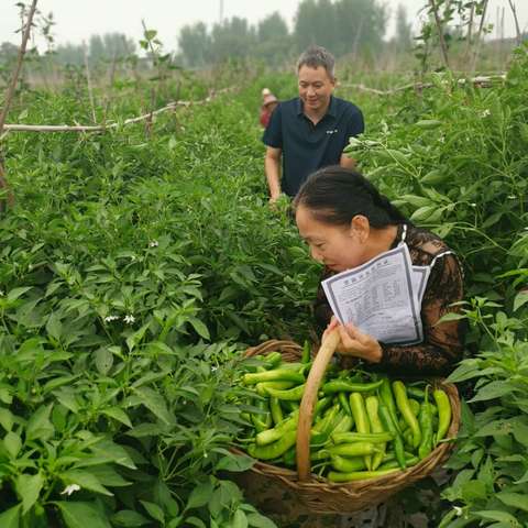 建安区：多措并举，确保“双节”农产品质量安全