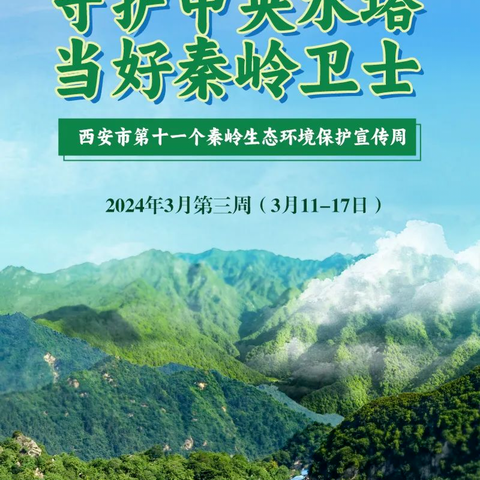 "守护中央水塔，当好秦岭卫士"井王小学第十一个秦岭生态环境保护宣传活动纪实