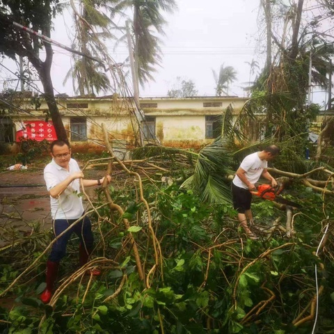 战超强台风摩羯  启生产自救模式 ——清泉村抗击超强台风摩羯纪实