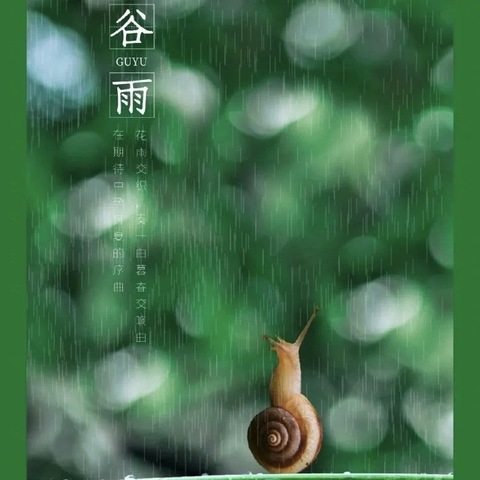 雨润百谷，万物生长——水西沟镇中心幼儿园二十四节气之谷雨